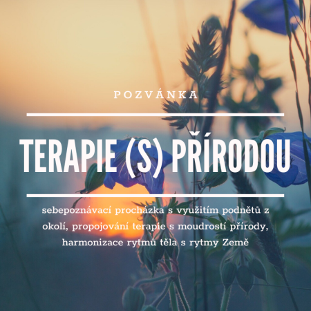 Terapie s přírodou