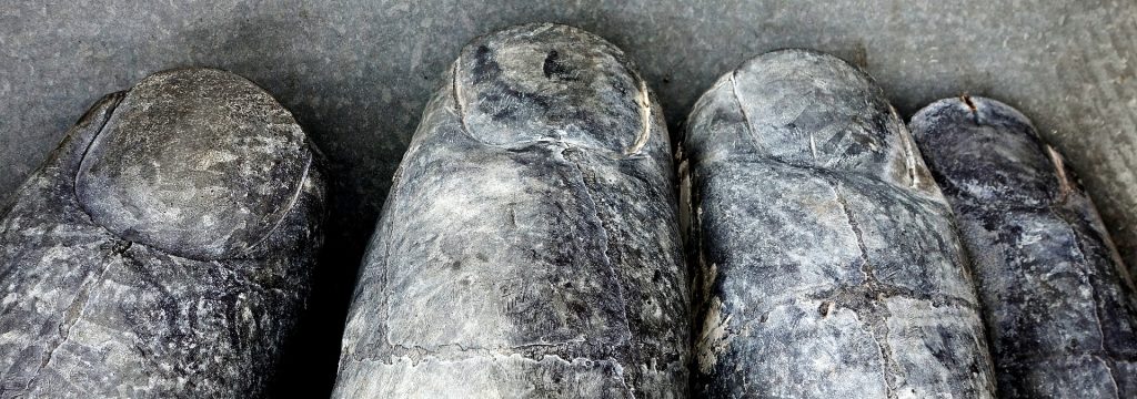 fingers-2644655_1920
