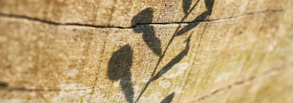 wood-fibre-boards-3748245_1920
